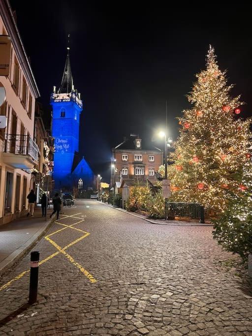 Le Nid Cosy D'Obernai /2Min Centre Ville/Parking エクステリア 写真